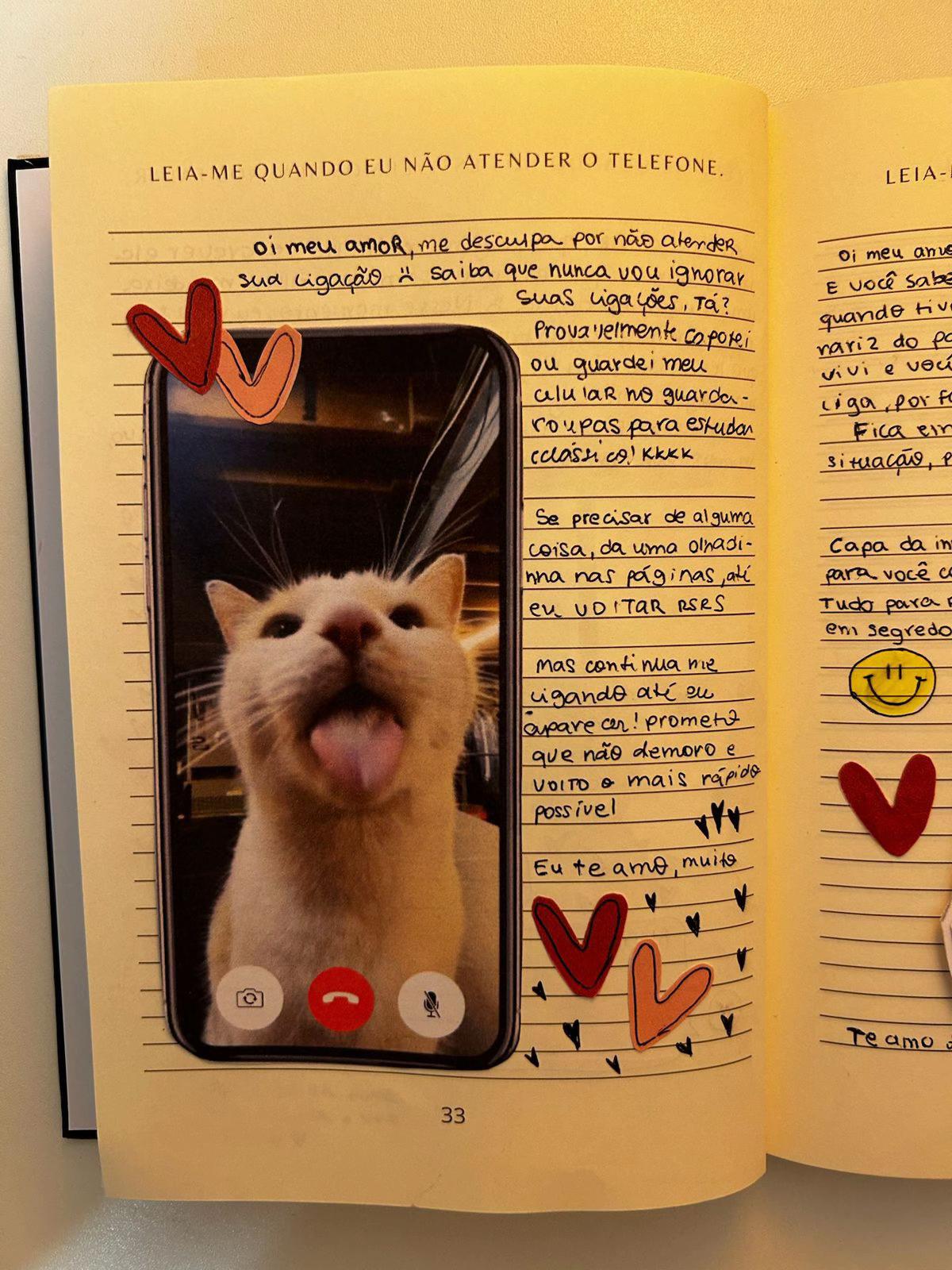 Página 33 do Leia-me quando preenchida, “Quando eu não atender o telefone”: uma chamada de vídeo desenhada, com a foto de um gato